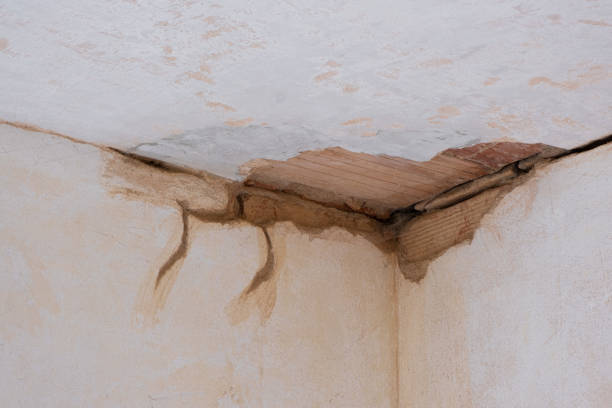  San Antonio Heights, CA Water damage restoration Pros