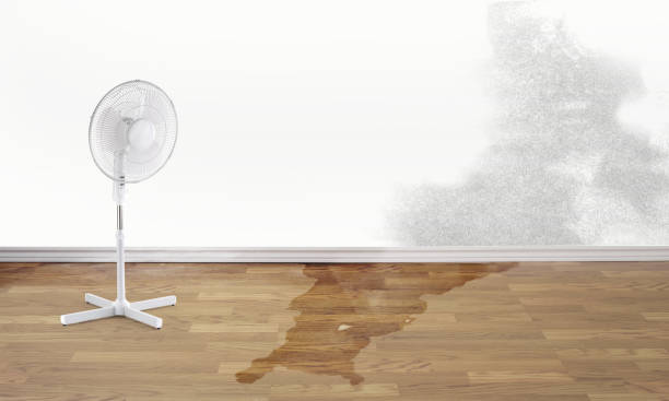 Best Carpet water damage restoration  in San Antonio Heights, CA