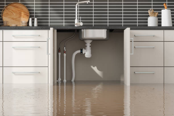 Carpet water damage restoration in San Antonio Heights, CA