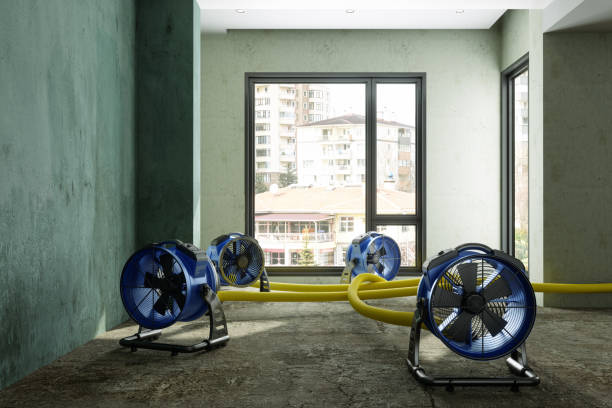 Best Fire Damage Restoration  in San Antonio Heights, CA