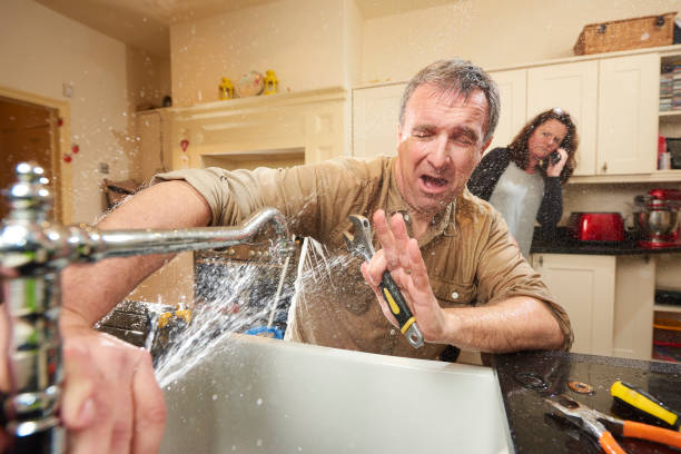 Best Mold removal after water damage  in San Antonio Heights, CA